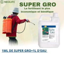 Super Gros 