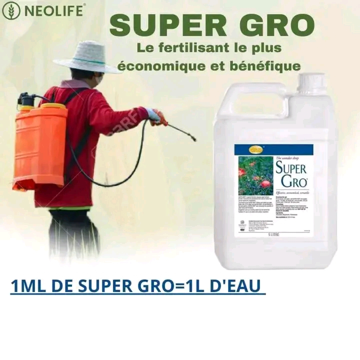 Super Gros 